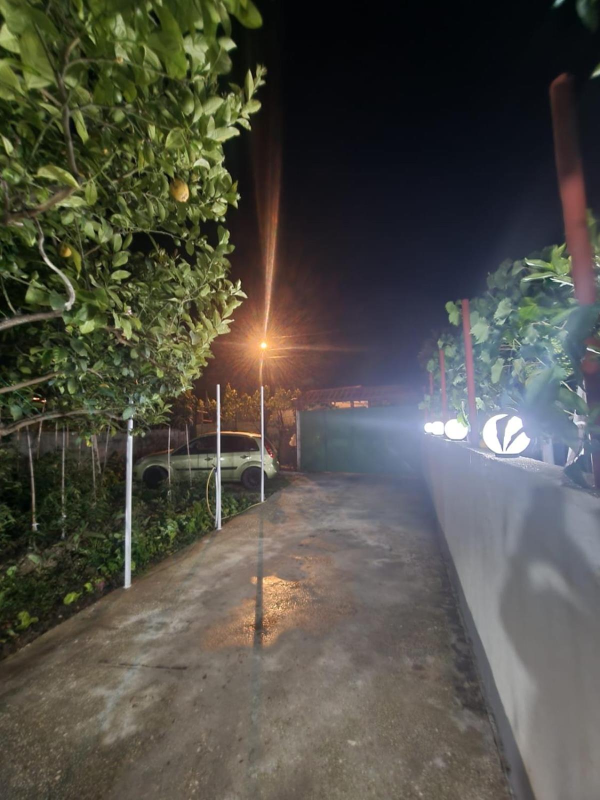 Villa Malaj فلورا المظهر الخارجي الصورة